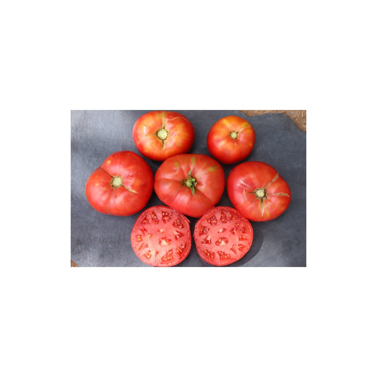 Tomate Cherokee