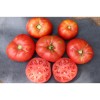 Tomate Cherokee