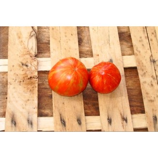 Tomate cœur de Zébrée