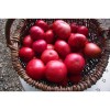 Tomate Géante d'Orenbourg graines bio reproductibles