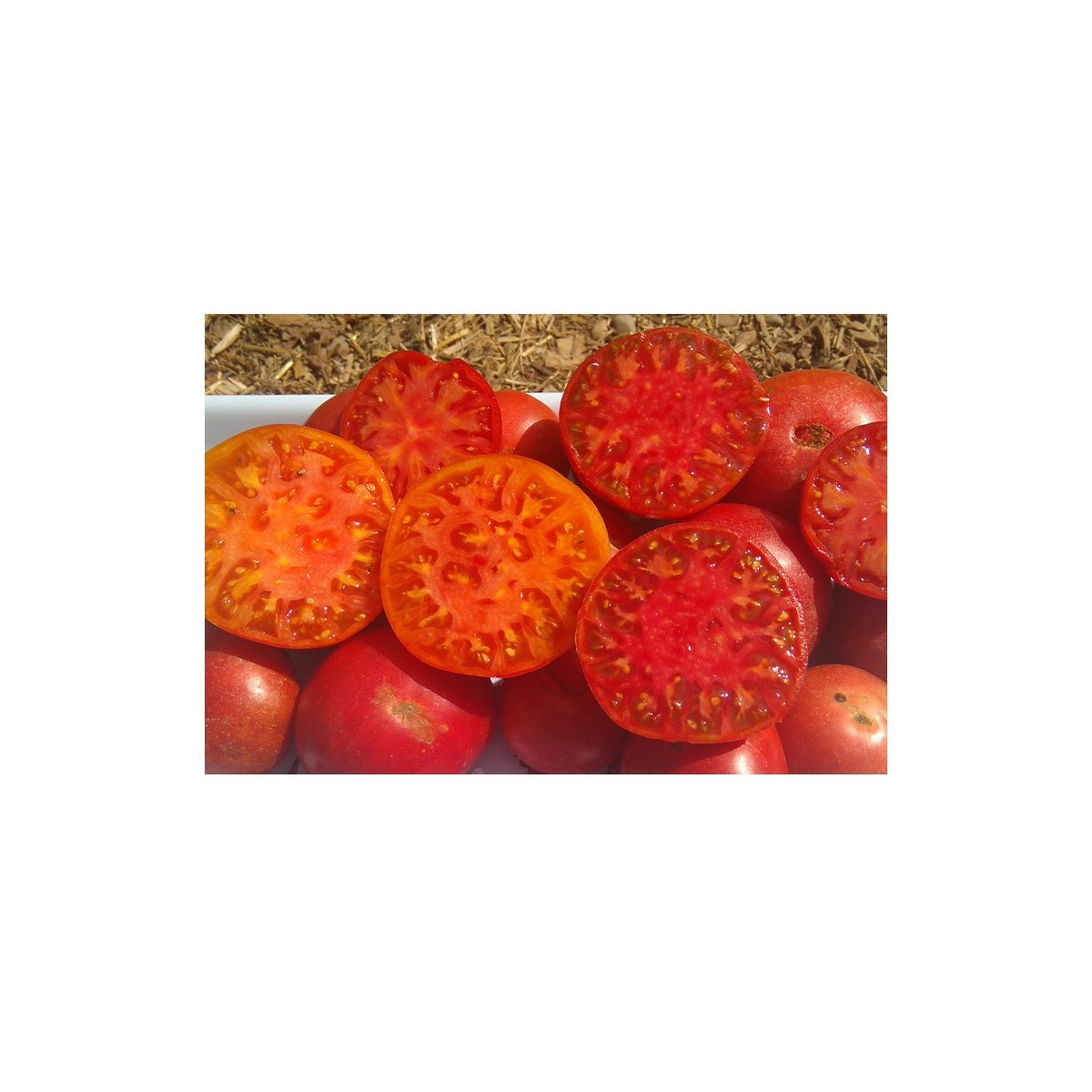 Tomate Levée d'Hypothèque