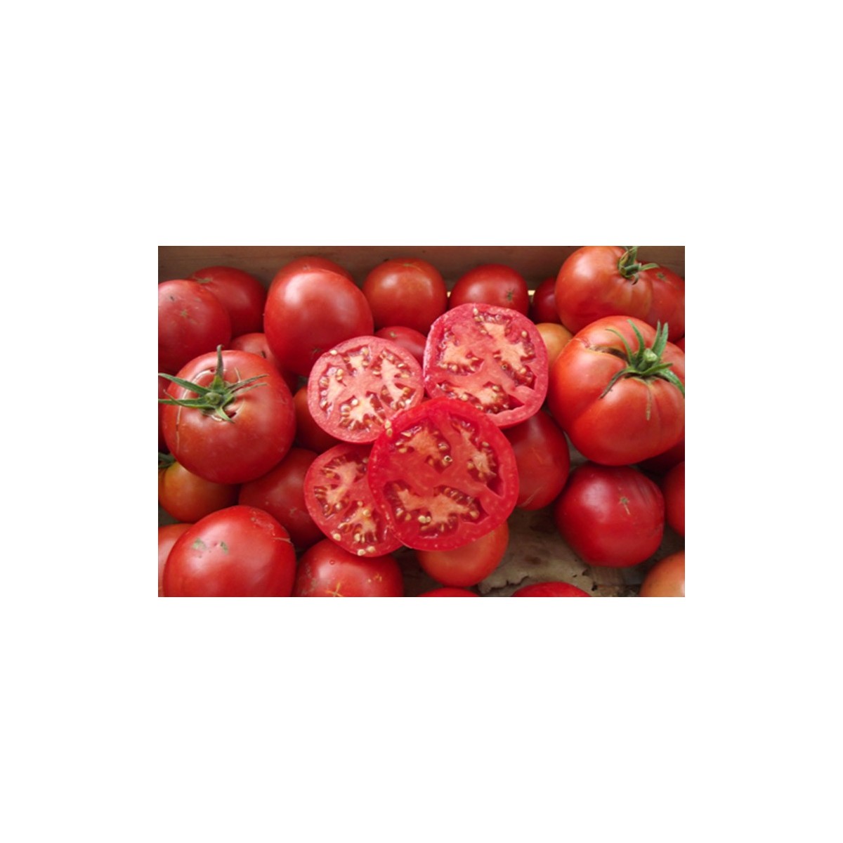 Tomate Merveille des Marchés