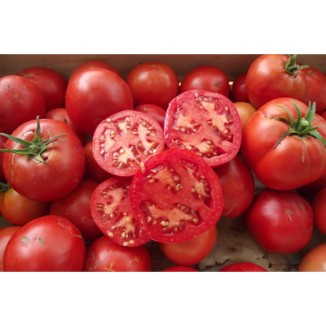 Tomate Merveille des Marchés