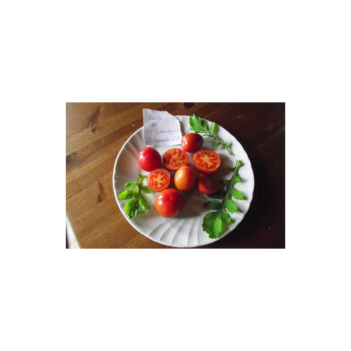 Tomate Olirose de Saint Domingue