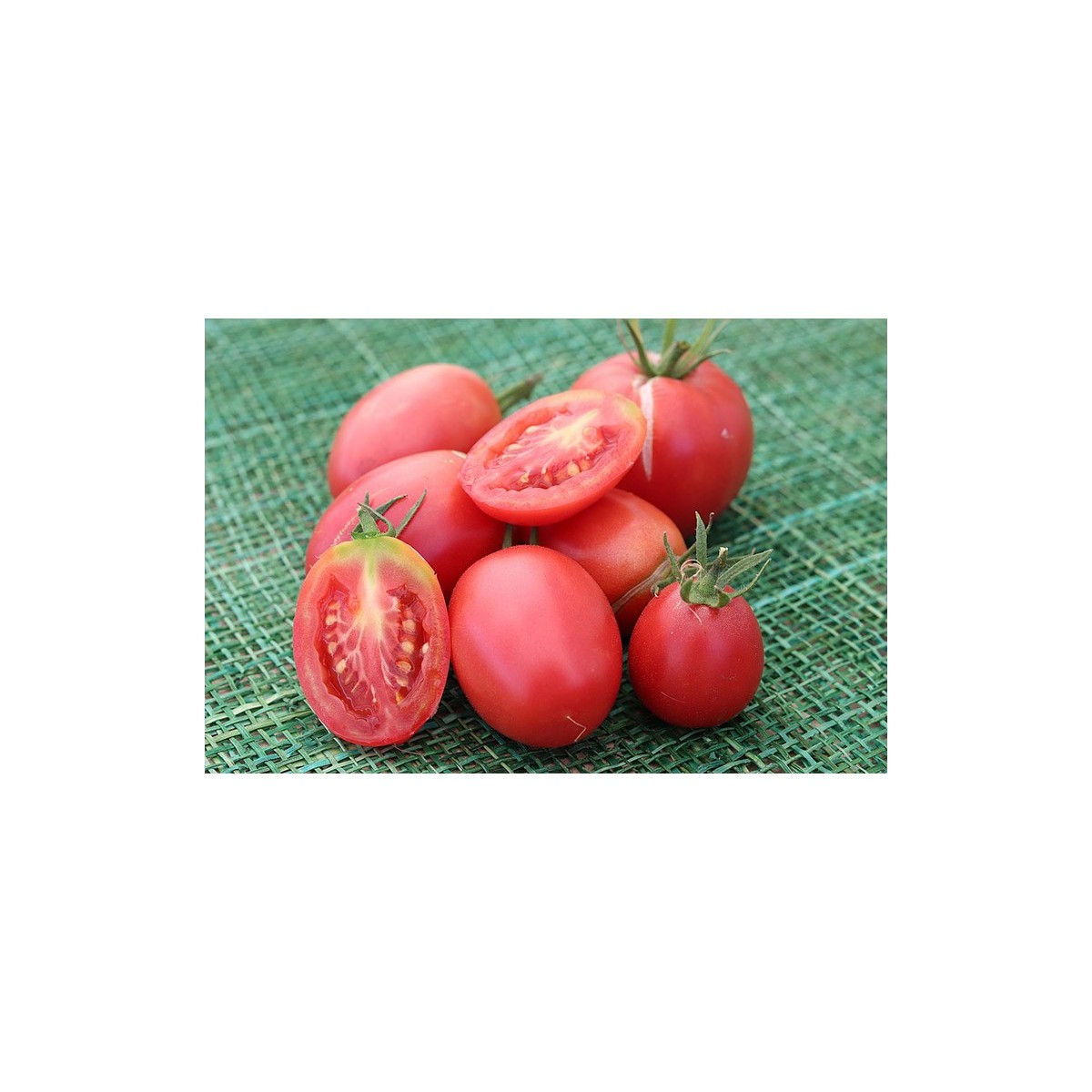 Tomate Olirose de Saint Domingue