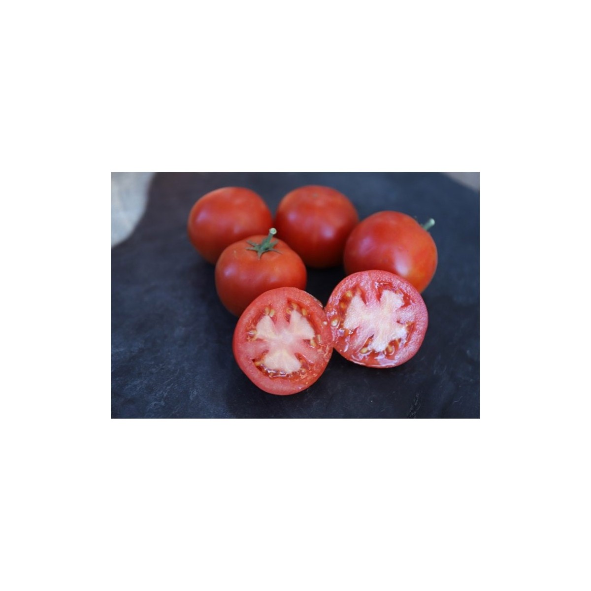Semences de tomate Petit Arbre pousse comme un arbuste