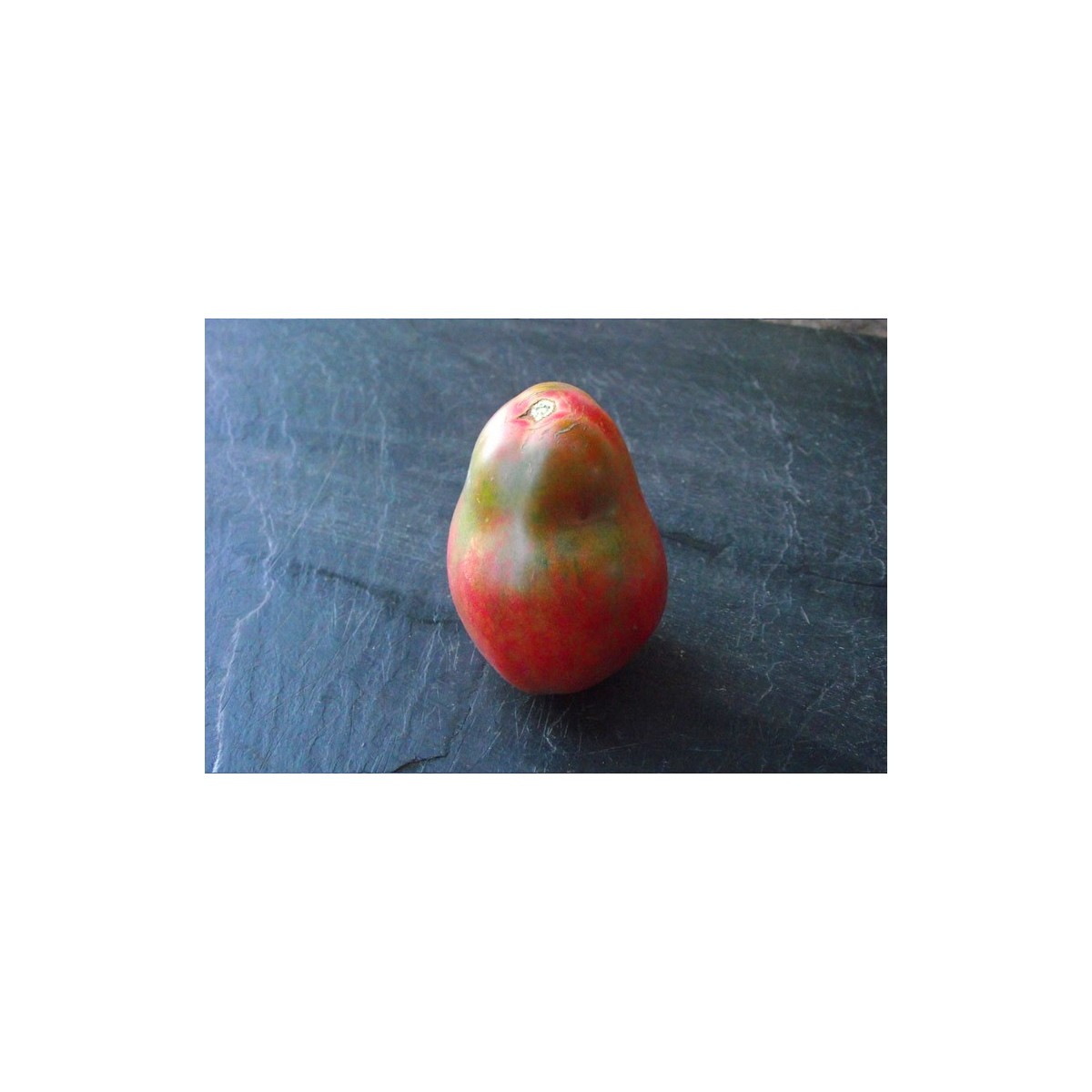 Semences de tomate bio Poire de Nouvelle Zélande
