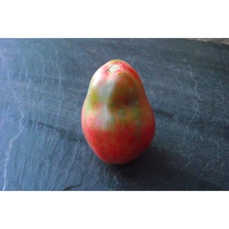 Semences de tomate bio Poire de Nouvelle Zélande