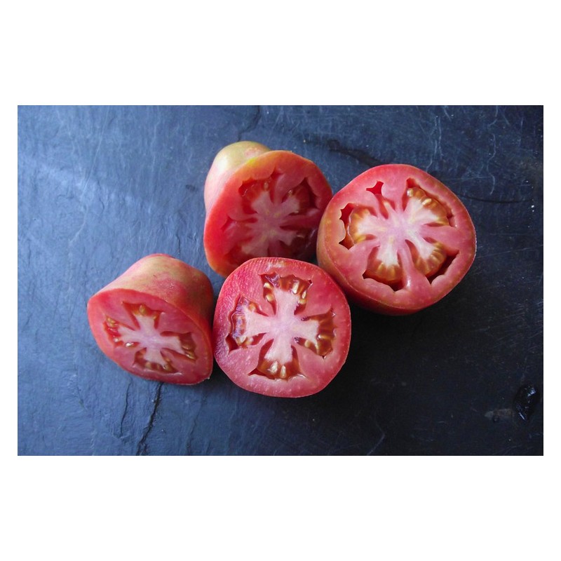 Semences de tomate bio Poire de Nouvelle Zélande