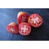 Semences de tomate bio Poire de Nouvelle Zélande