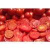 Tomate Précoce de Quimper semences biologiques Pascal Poot