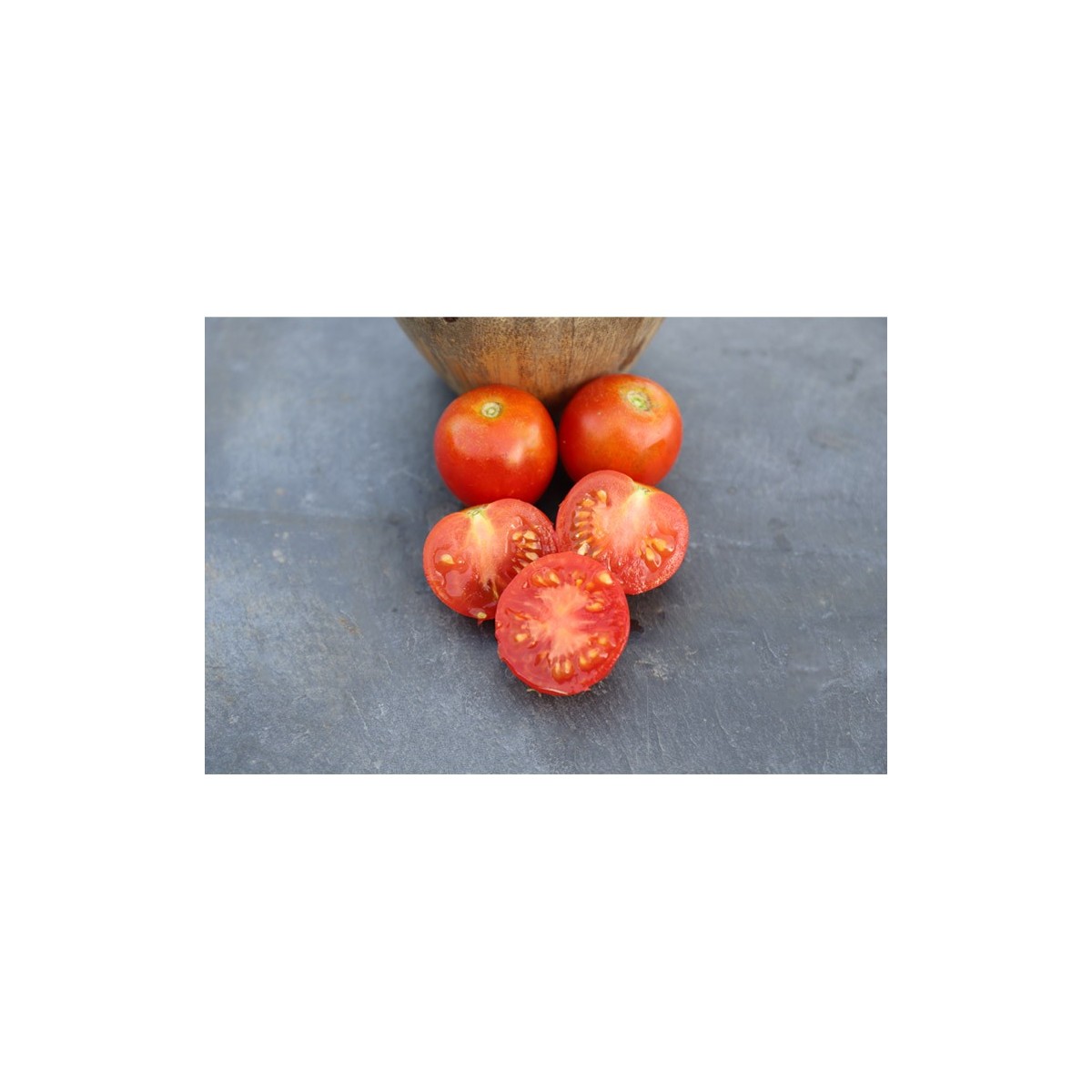 Tomate Précoce de Quimper semences biologiques Pascal Poot