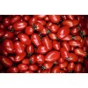 Tomate Olivette Rose semences bio