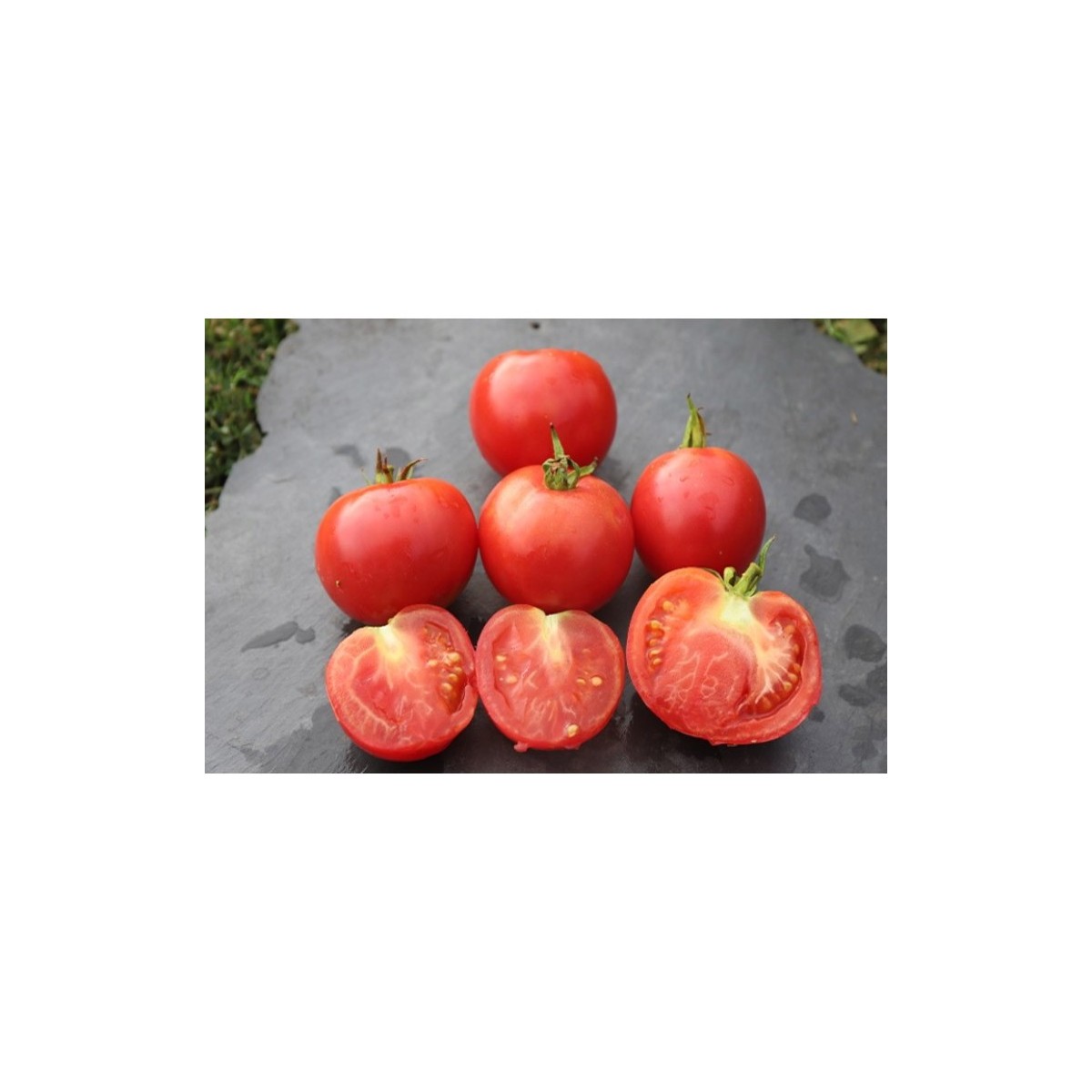 Tomate Rose de Berne