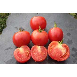 Tomate Rose de Berne