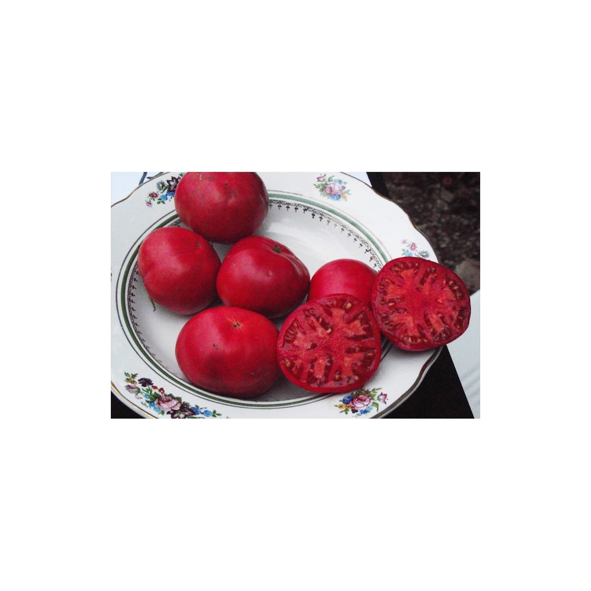Tomate Rose de berne excellente variété ancienne semences bio