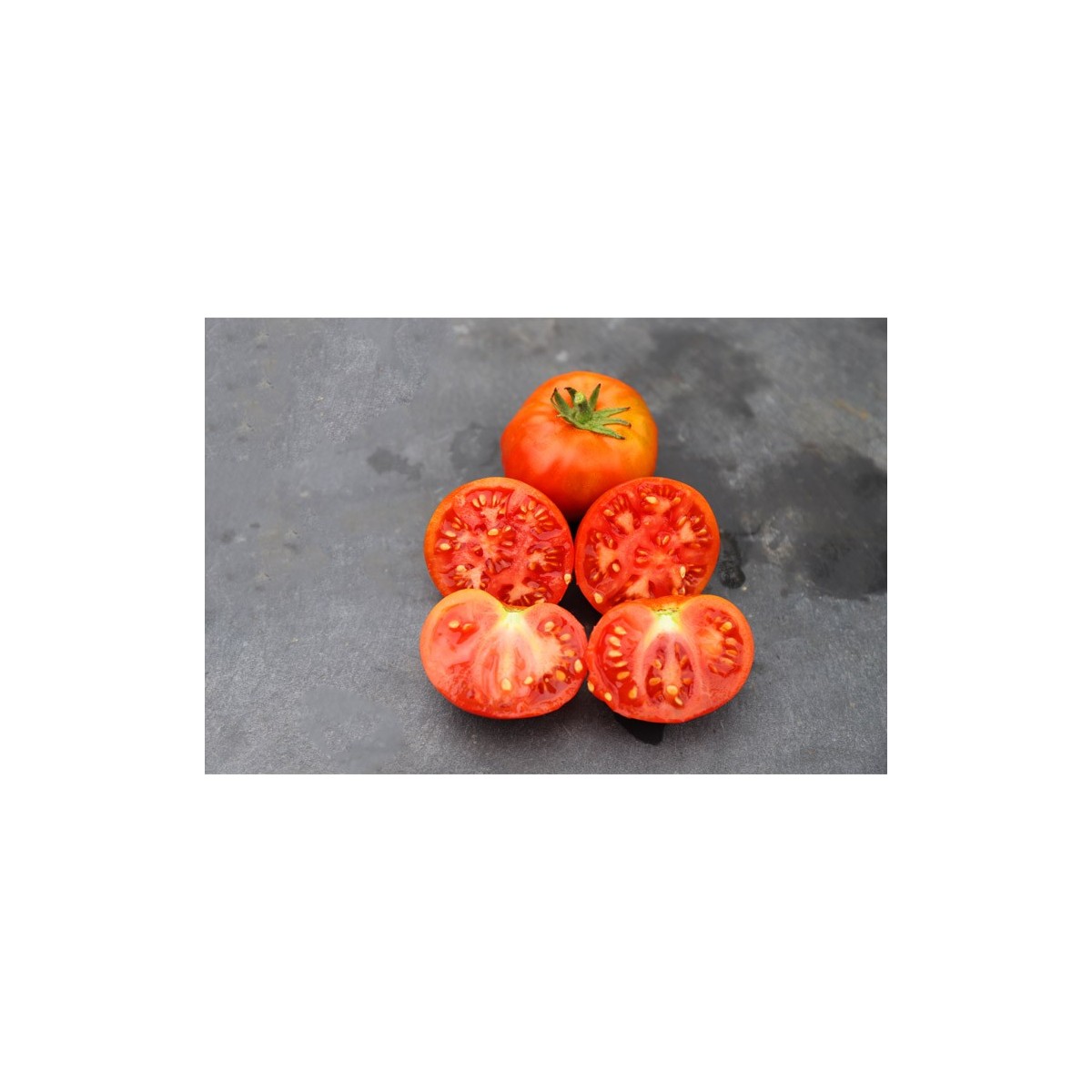 Semence de tomate Socotra Rouge graines biologiques