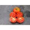 Semence de tomate Socotra Rouge graines biologiques