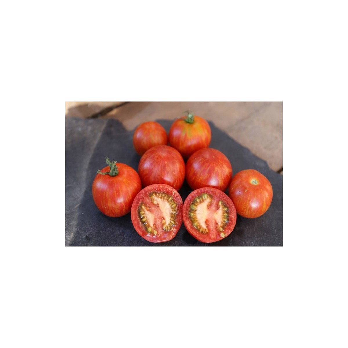 Tomate Tigerella semences bio Pascal Poot