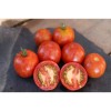 Tomate Tigerella semences bio Pascal Poot