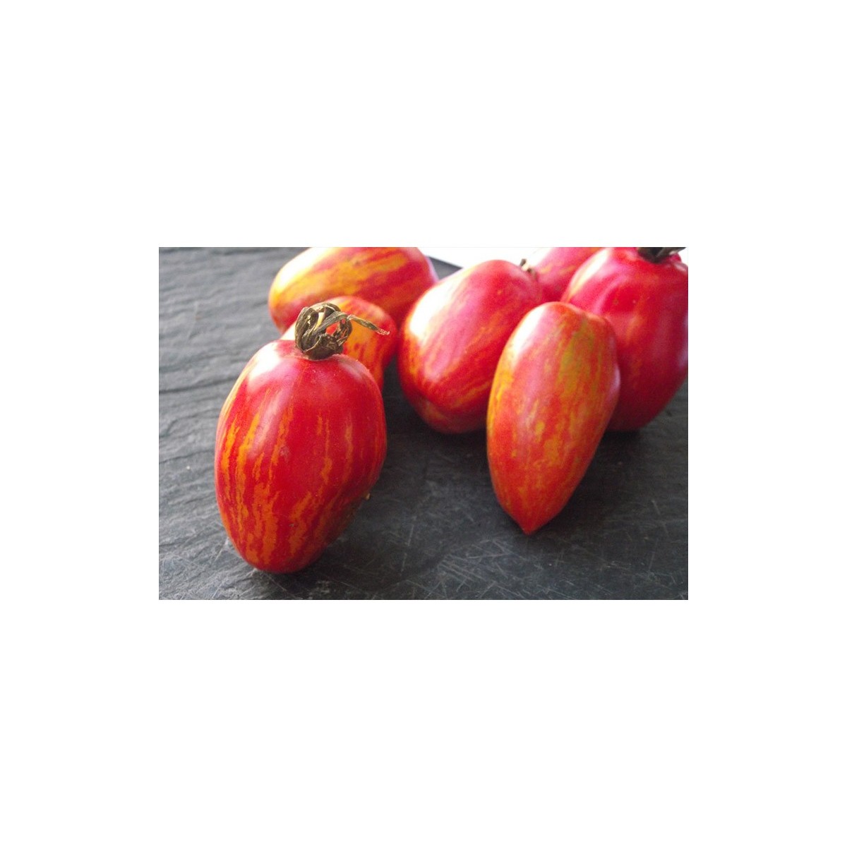 Tomate Tonnelet