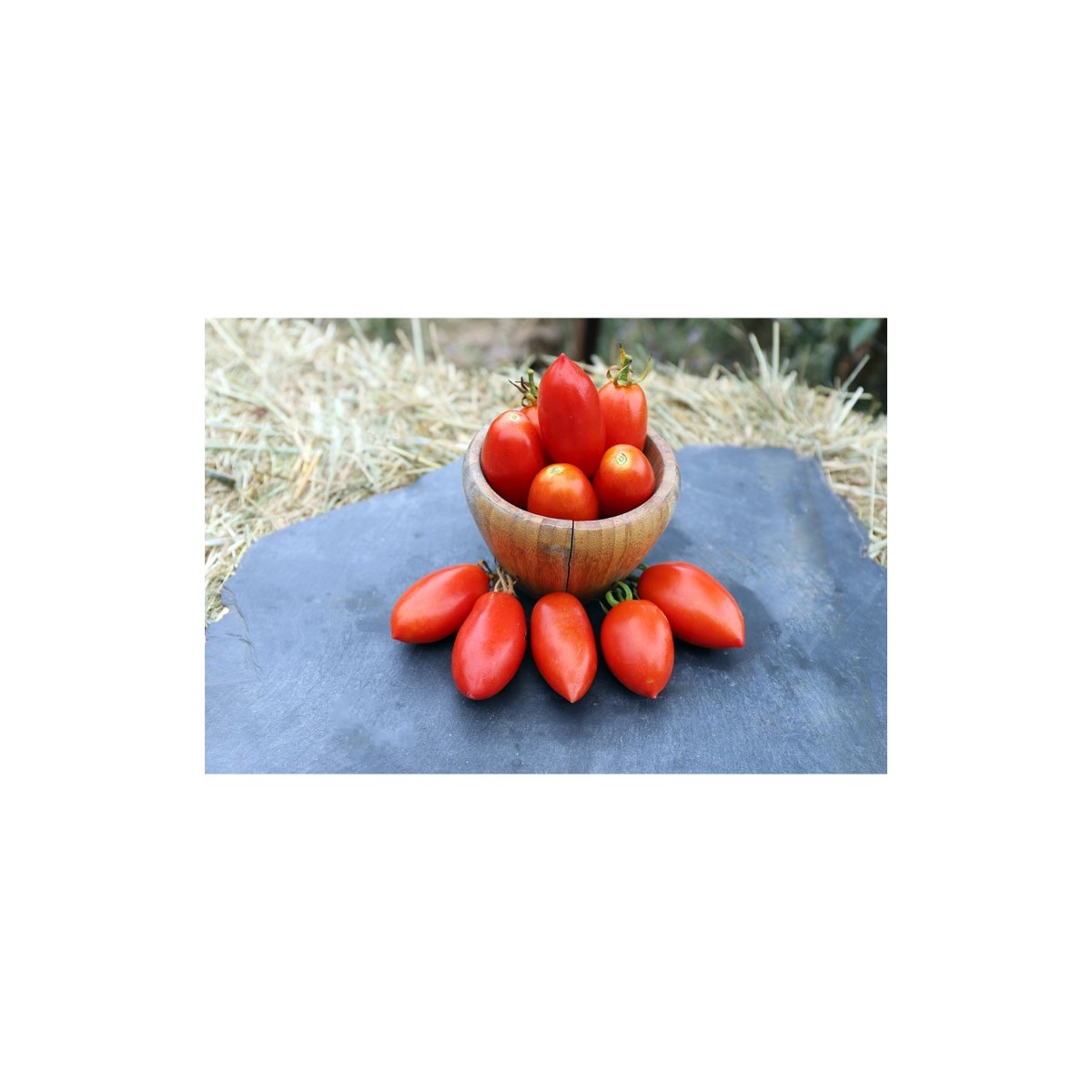 Tomate Budenovka