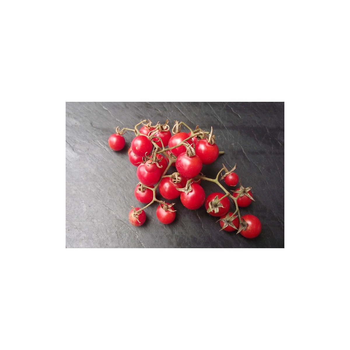 Tomate cerise Barbaniaka précoce