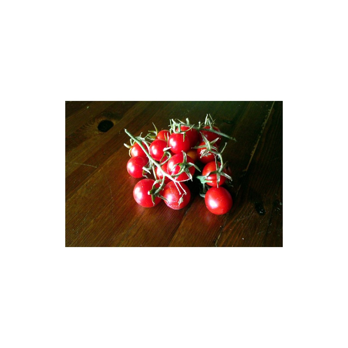 Tomate cerise Miel du Mexique graines anciennes bio boutique en ligne