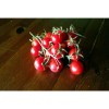 Tomate cerise Miel du Mexique graines anciennes bio boutique en ligne