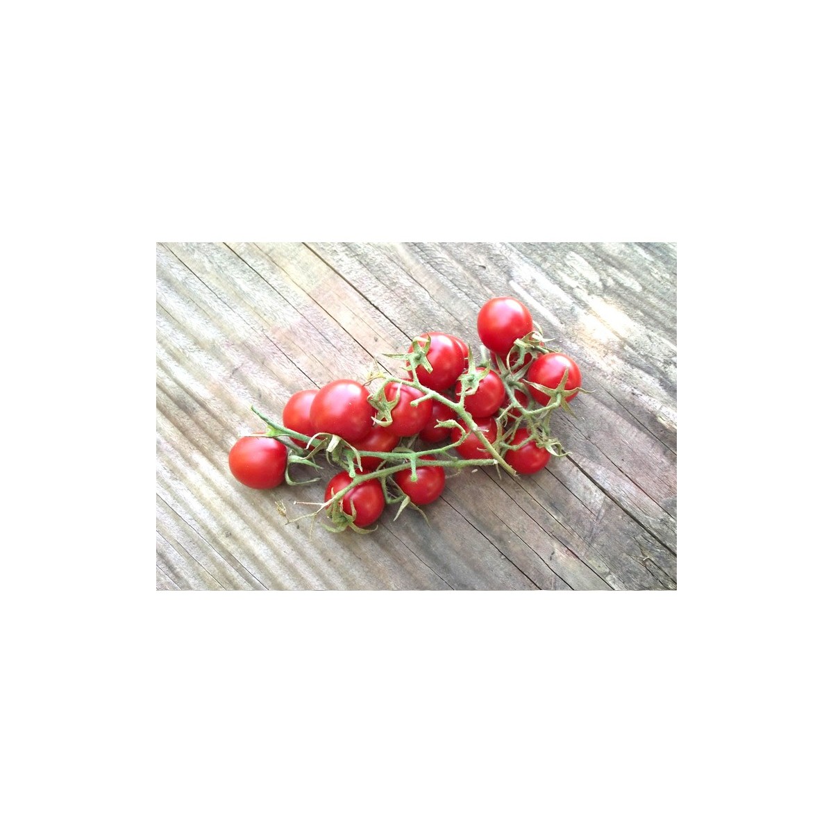 Tomate Cerise Miel Du Mexique