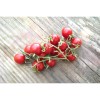 Tomate Cerise Miel Du Mexique