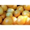 Tomate cerise Poire Jaune semences bio