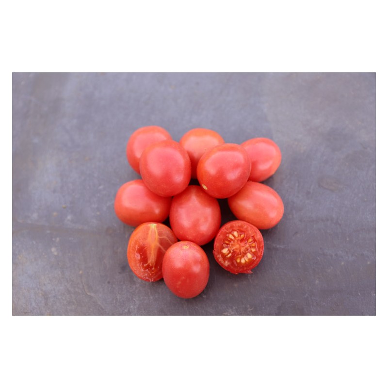 Tomate cerise rose perlée graines biologiques