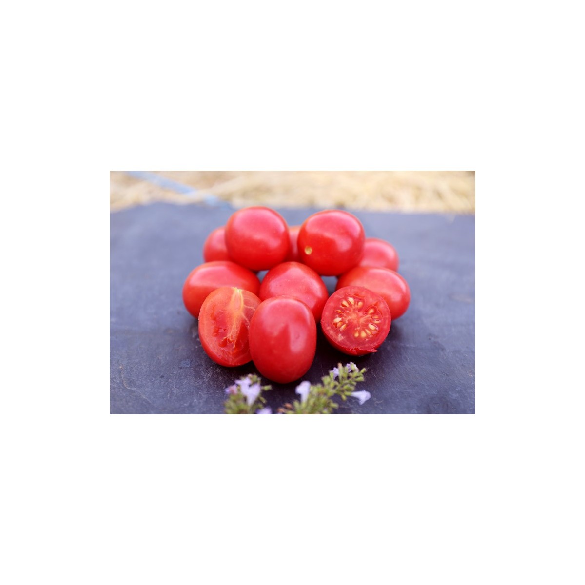 Tomate cerise rose perlée graines biologiques