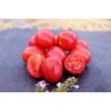 Tomate cerise rose perlée graines biologiques