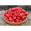 Tomate cerise rose perlée graines biologiques