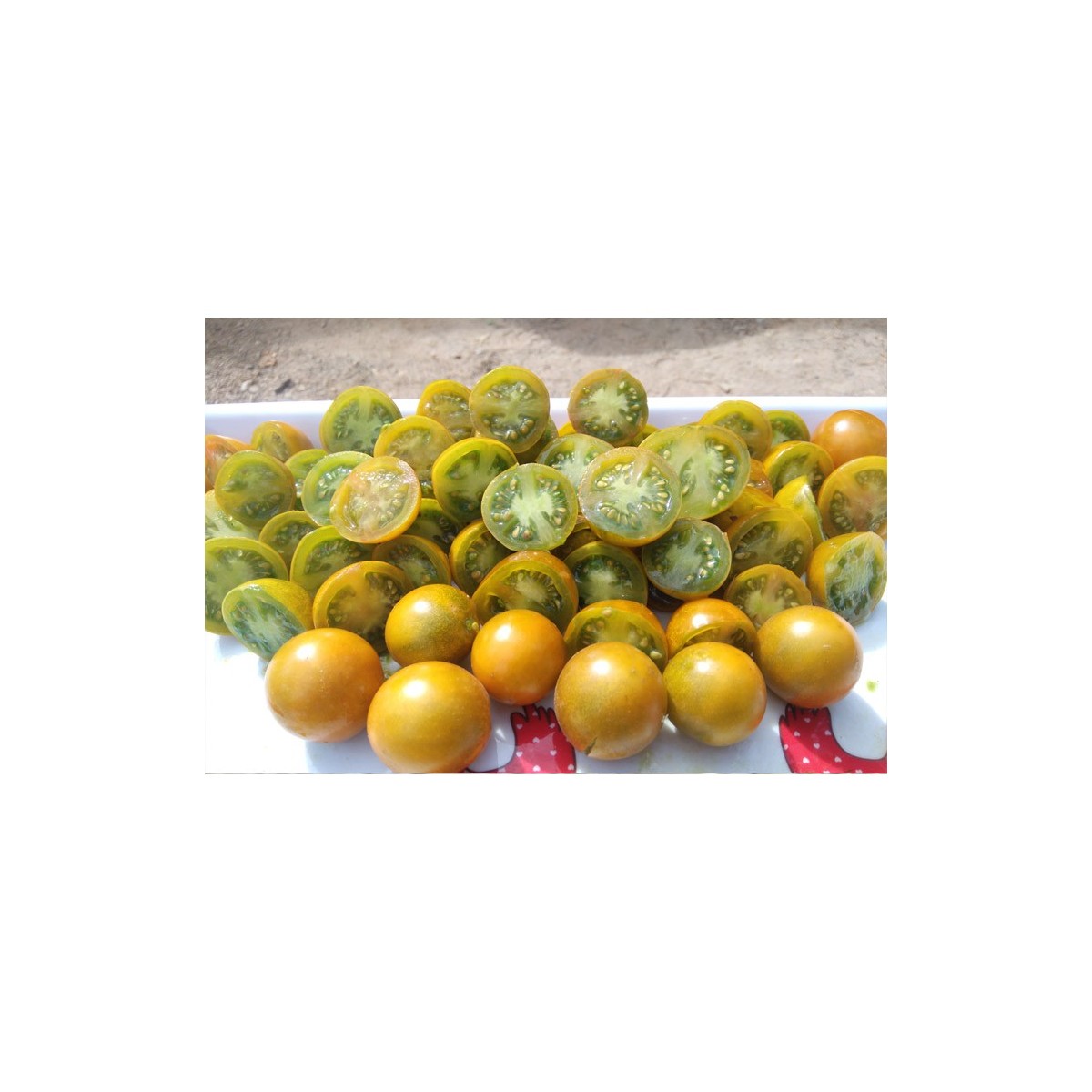 Semences de tomate cerise verte, fruit magnifique et savoureux