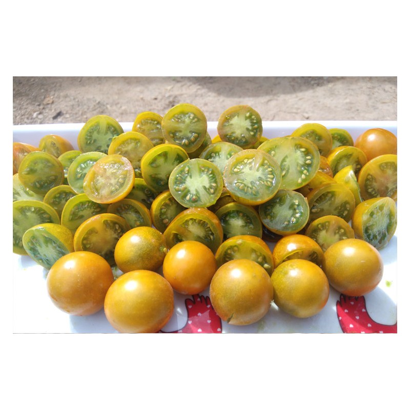 Semences de tomate cerise verte, fruit magnifique et savoureux