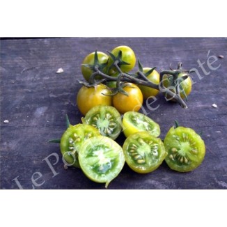 Tomate Cerise verte ou raisin vert