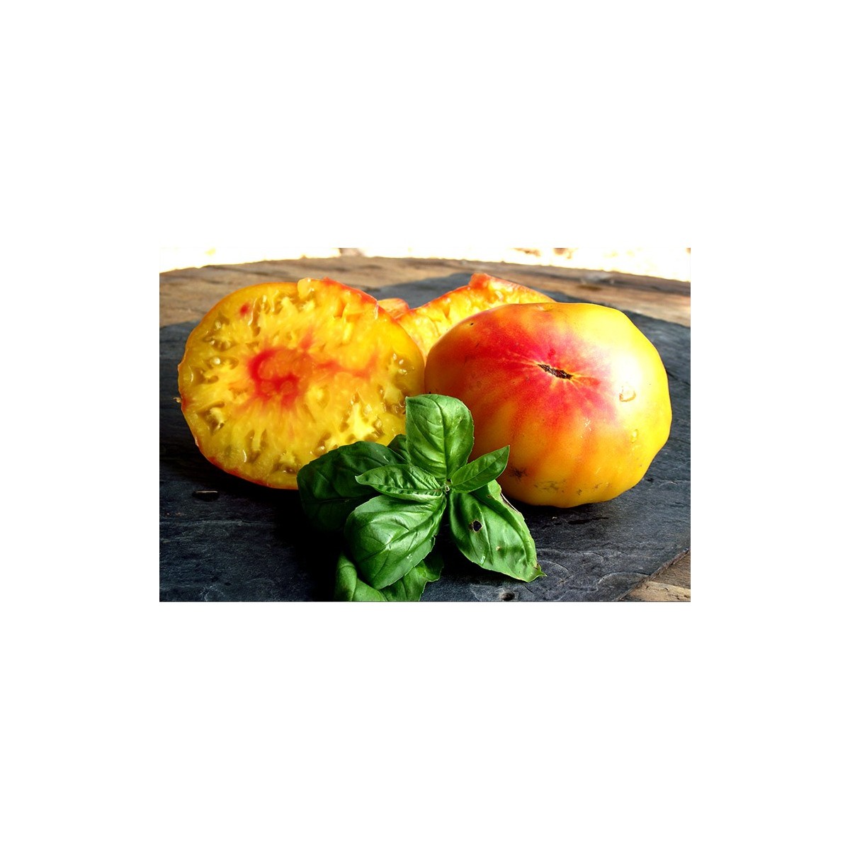 Tomate Allemande Doré