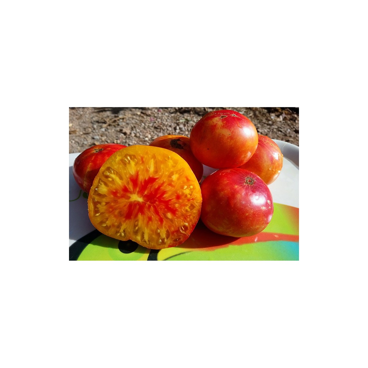 Tomate Allemande Doré  bio