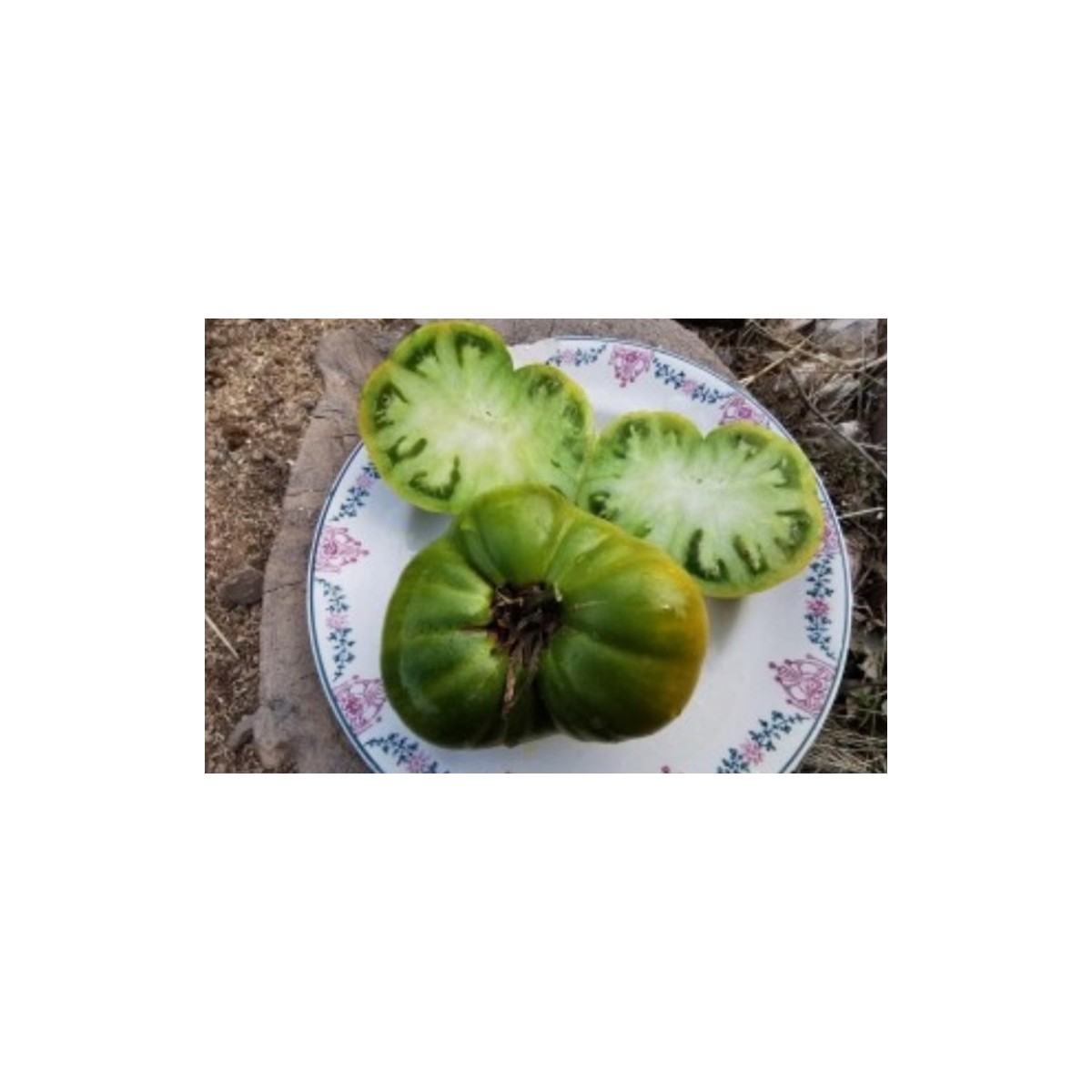 Tomate Ananas vert