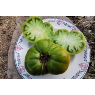 Tomate Ananas vert