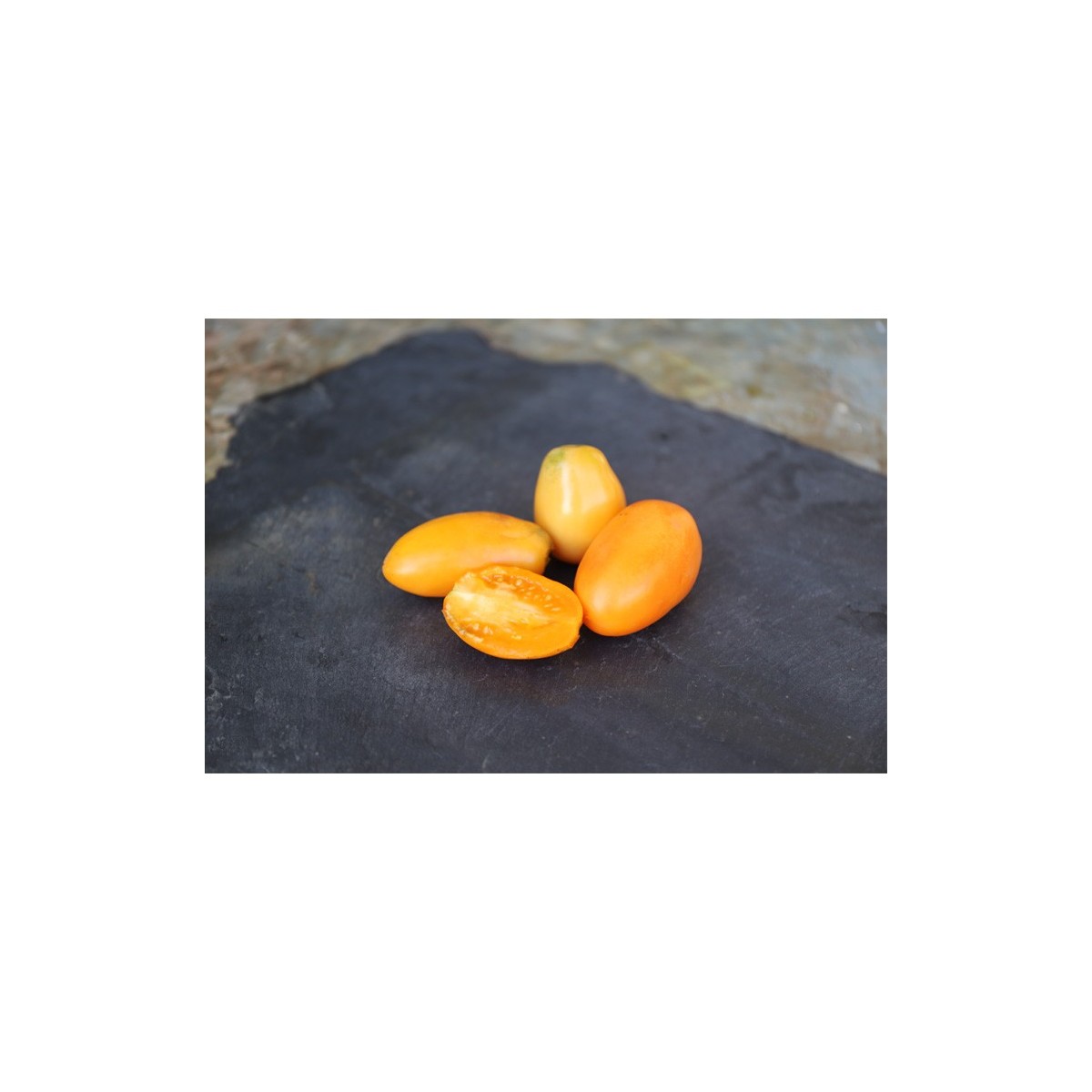 Semences de tomates Banane Orange fruit allongé jaune-orangé bio