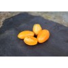 Semences de tomates Banane Orange fruit allongé jaune-orangé bio