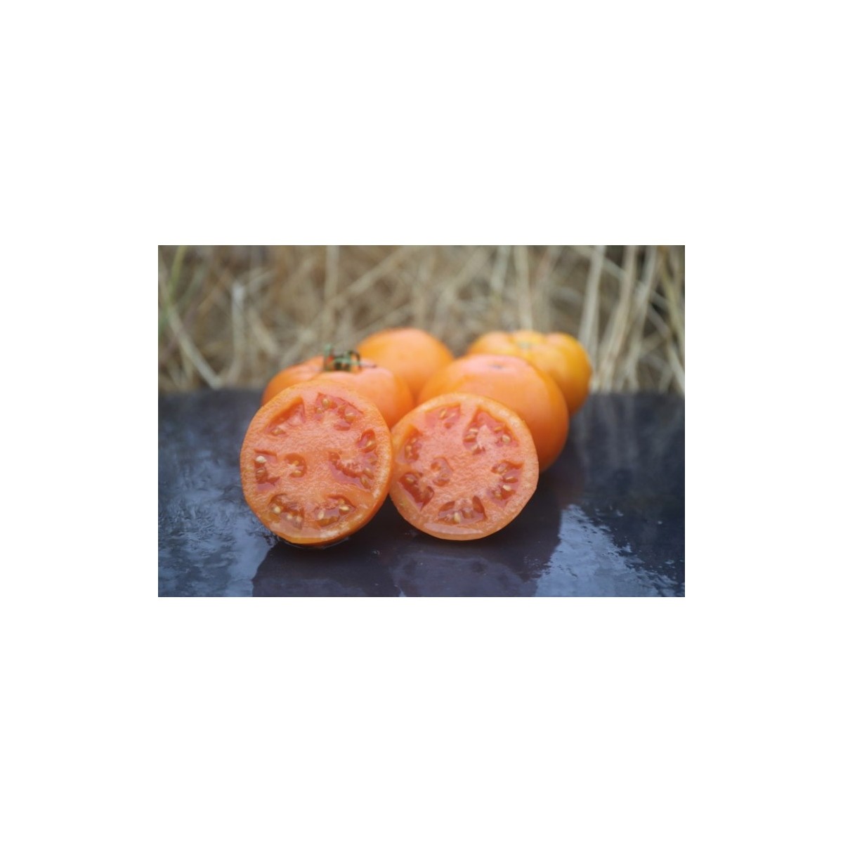 Tomate Caro Rich