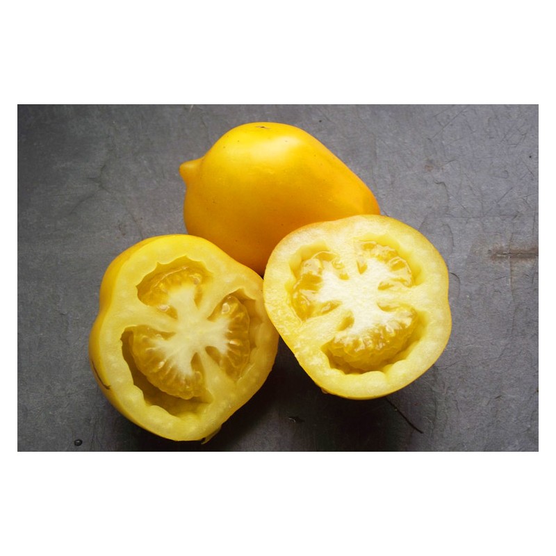 Tomate Citron Russe, gout acidulé et très jolie en forme de citron