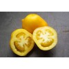 Tomate Citron Russe, gout acidulé et très jolie en forme de citron
