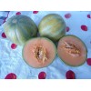 Melon Petit Gris de Rennes