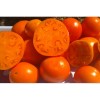 Tomate Jaune de Belgique